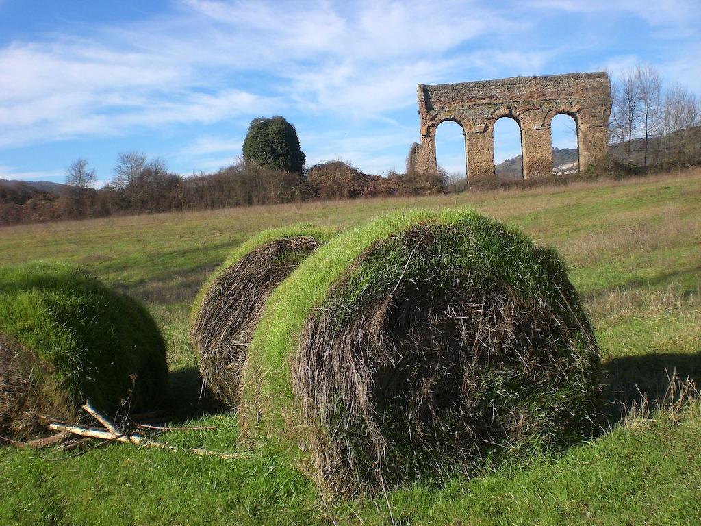 Valle Degli Arci Castel Madama Eksteriør bilde